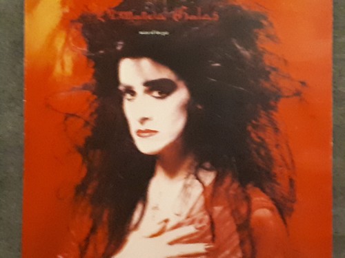 Langspielplatte diamanda galas - langspielplatte,