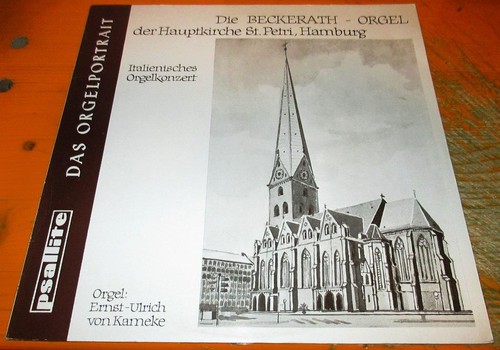 Langspielplatte das - langspielplatte,
